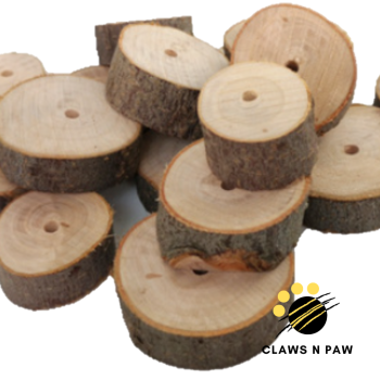 apple wood slice 2b