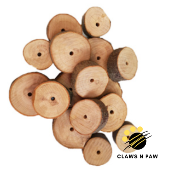 apple wood slice B