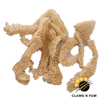 loofah tendow1
